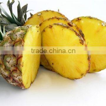 Fresh sweet Pineapple with best price from Vietnam