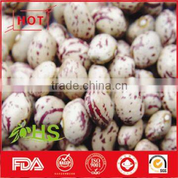 Light coloured speckled kidney beans for sale