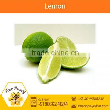 Superior Quality Fresh Green Lime/ Fresh Lemon for Home Use