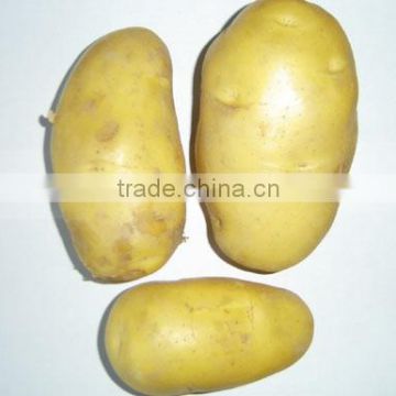 2014 new crop fresh natural potato with cheap price