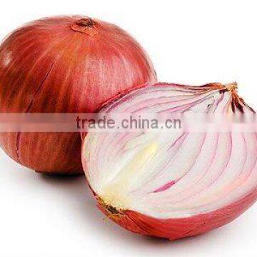 Red Onions