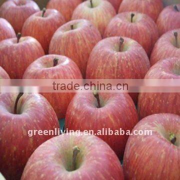 Sweet Fuji Apple Yantai China