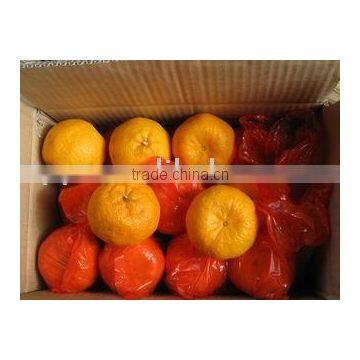 Fresh Mandarin Orange