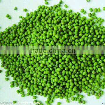 Green mung beans