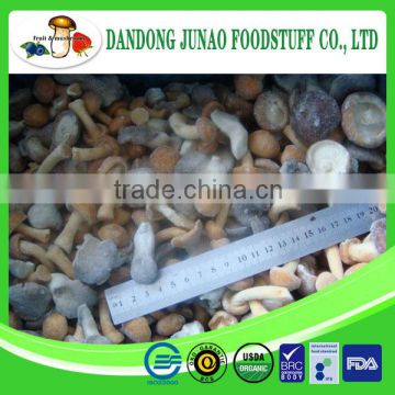 New season factory wholesale mixed iqf mushroom