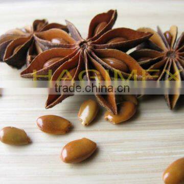 Star Aniseeds Anise Without Stems, Reddish Color - Best Price & High Quality by HAGIMEX photo-6