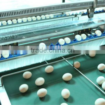 Egg separate machine