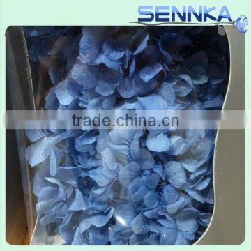 2016 Best Selling Natural Preserved Flower long life preserved hydrangeas