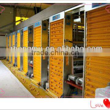 Automatic egg collecting machine high quality broiler chicken for poultry farm