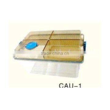 IVC rat cage