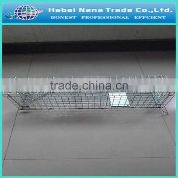 Hot Sale Wire Animal Trap Cage / Welded Wire Mesh Trap / Live Animal Trap