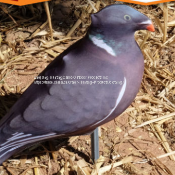 Pigeon Decoy Socks photo-3