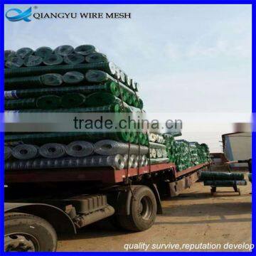 welded wire mesh supplier/ welded wire mesh fence/ cheap galvanized welded wire mesh