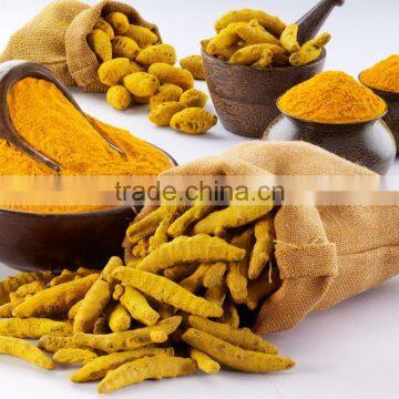 turmeric powder