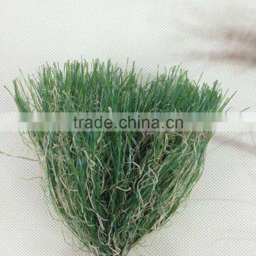 10000 Dtex/16F PE & PP curl Artificial Grass Yarn for grass turf