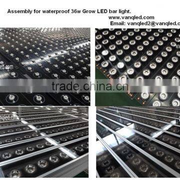 Wholesale Vanq 36W LED Grow Bar Light for Vertical Farming photo-2