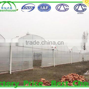 Commercial Climate Control Strawberry Greenhouse With Thermal System photo-4