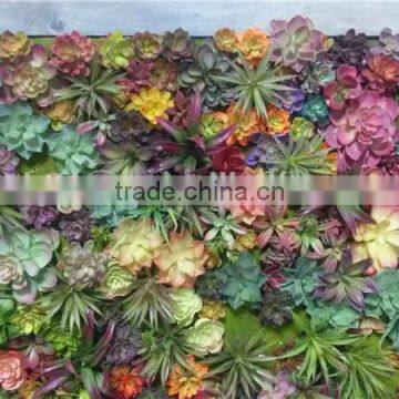 Home and outdoor decoration synthetic cheap artificial vertical green grass succulent wall E08 04C46