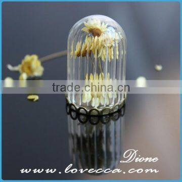 Mini Glass Decoration Bottle Charms for Necklace Pendants Wish Pendant Tube Bottle Vial photo-3