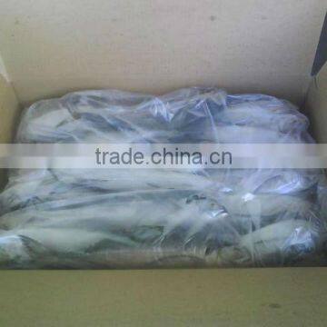 Fresh Frozen Horse Mackerel Fish From Alo Seafood Co., photo-4