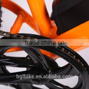 2016 Hot Selling High Speed the Lastest Model With Disc Brake OEM Package Ebike photo-4