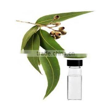 Eucalyptus Oil photo-4