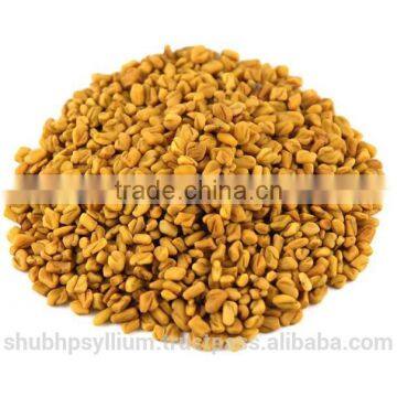Fenugreek Seed Whole