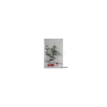 Sell Patterned Glass for Furniture
