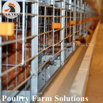 H Type Layer Chicken Cage for 50000 - 100000 Birds Layer /house photo-4