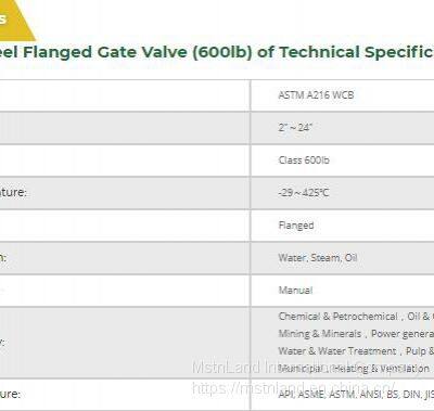 Mstland API600 CAST STEEL FLANGED GATE VALVE (600LB) photo-2