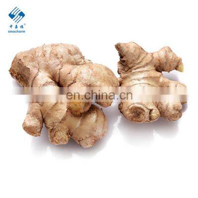 2020 Hot Sale Fresh Vegetable Fresh Ginger photo-2