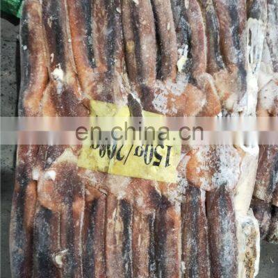 China Frozen Illex Squid Argentina Illex Squid Price 100-150 150-200 200-300 photo-4