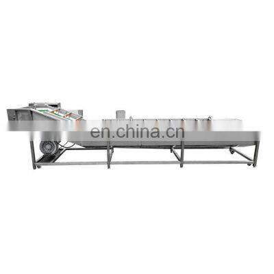 Automatic ozone bubble apple carrot ginger leafy sterilizing cleaning machine fruit and vegetable washing line