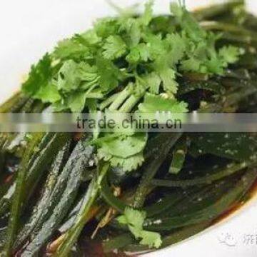 2016saled Chinese Seafood of Dried Kelp,dry Kelp Seaweed Cut photo-6
