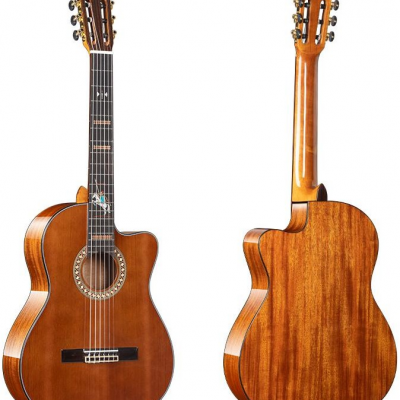 OTIS CN-Knight 39Inch Practice Classical Guitar (French Savarez Strings, Glossy Rosewood Bridge, Natural Woody Brown)