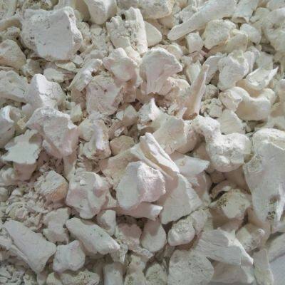 Manufacturer Sell Low Price Calcined Bone Ash or Powder photo-4