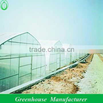 Hot sale tunnel greenhouse