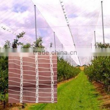 Various HDPE anti hail protection net / anti hail netting / anti hail net