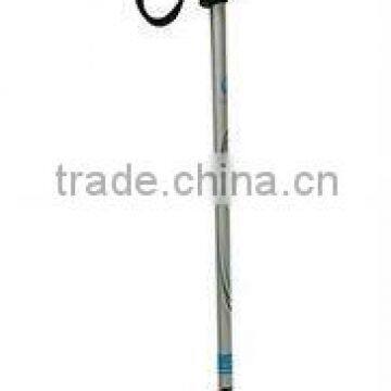 telescopic walking stick