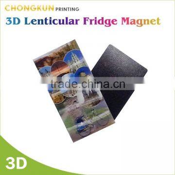 Fridge Magnet/Custom Fridge Magnet/Fridge Magnet Wholesale