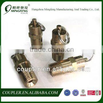 Brass boiler safety valve for air compressor