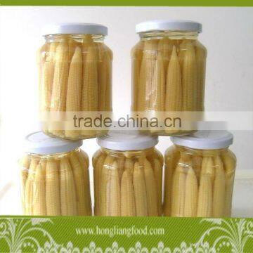 Top quality canned baby corn