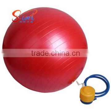 Eco PVC Pilates Ball