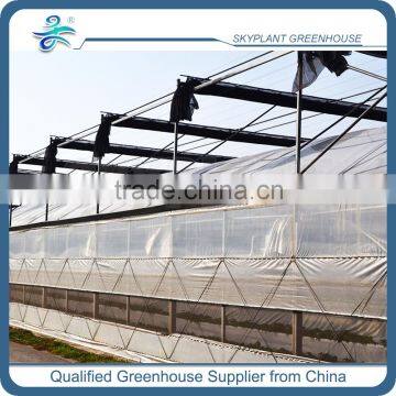 PE Film Plastic Horticultural Green house