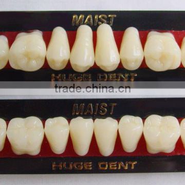 dental device acrylic teeth MAIST Z2-Dental