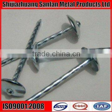 Electro Galvanized smooth shank large head nails