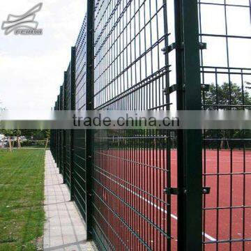 Double wire security fence