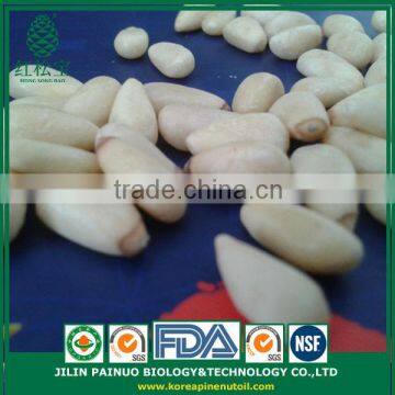 Wholesale Factory Direct Top Quality Chines Red Korean Pine Nut Kernels photo-2