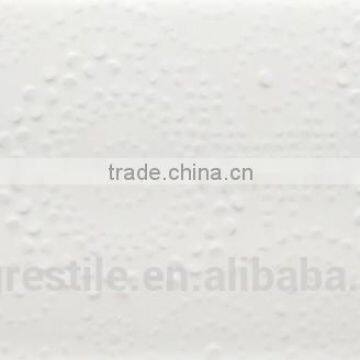 white colored glazed wall tiles (PMW390018)