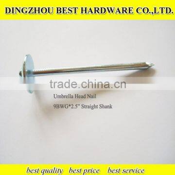Roofing Umbrella Nail photo-3